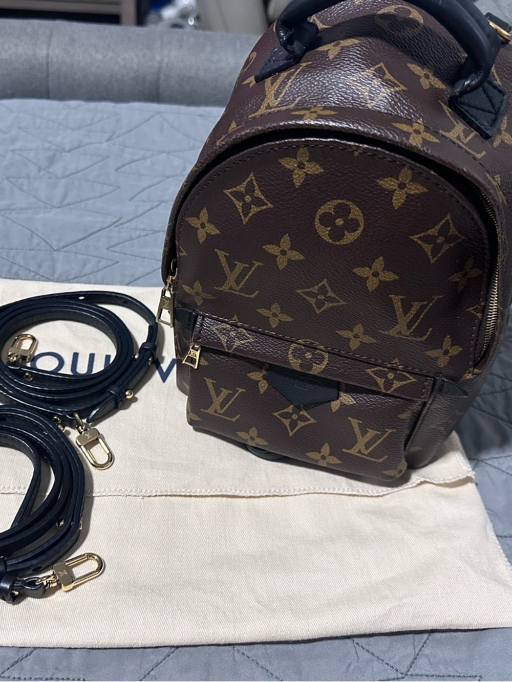 ❌SOLD❌ Louis Vuitton Monogram Palm Springs Mini